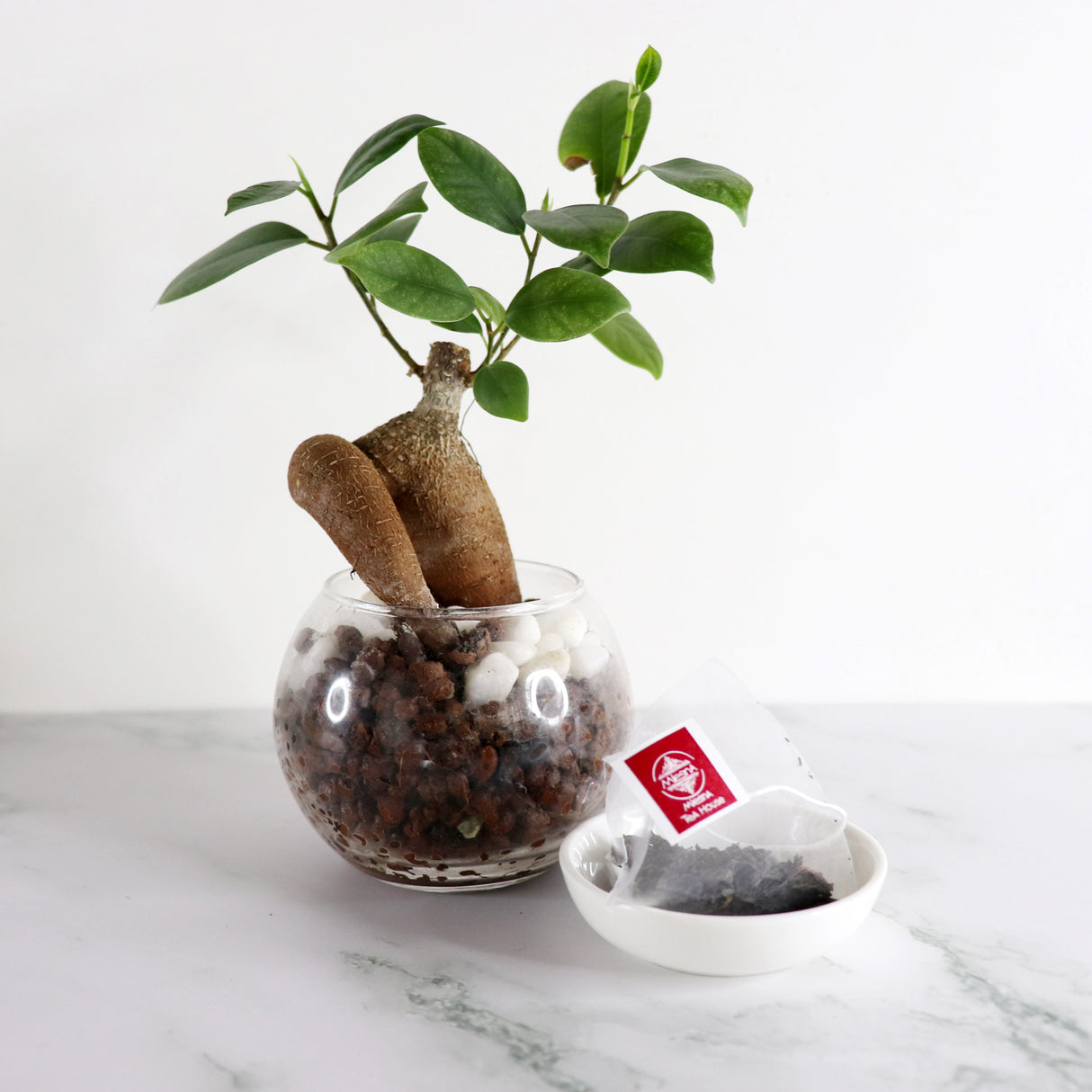 ミニキューブ4個セット(幸せベリー他)