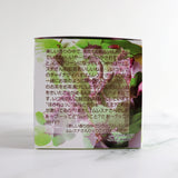 キューブボックス『チャイナグイハオ』