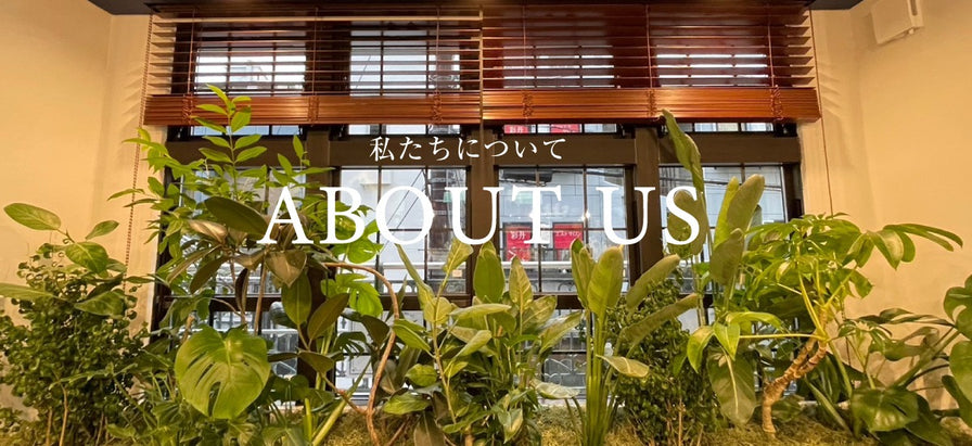 私達について